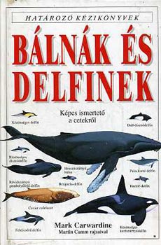 Blnk s delfinek