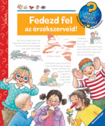 Fedezd fel az rzkszerveid!