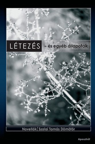 L�tez�s - �s egy�b �llapotok
