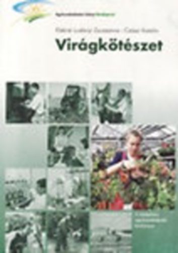Virgktszet