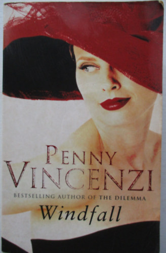 Penny Vincenzi - Windfall