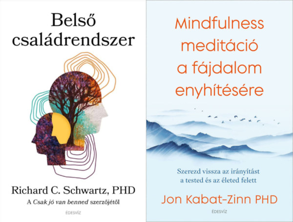 2 db knyv a boldogsg elrshez: Bels csaldrendszer - A Csak j van benned szerzjtl + Mindfulness meditci a fjdalom enyhtsre - Szerezd vissza az irnytst a tested s az leted felett