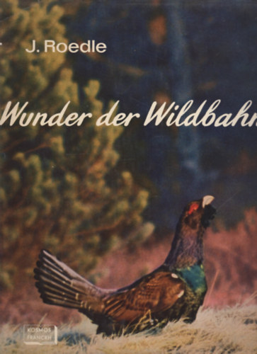 Wunder der Wildbahn