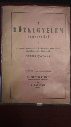 A kzkegyelem (amnesztia)