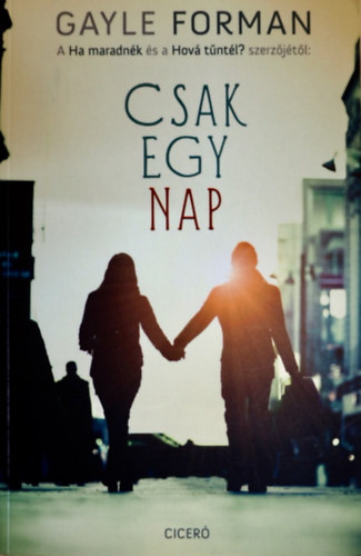Csak egy nap