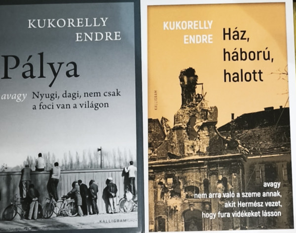 Kukorelly Endre - 2db Kukorelly Endre mű - Ház, háború, halott, Pálya