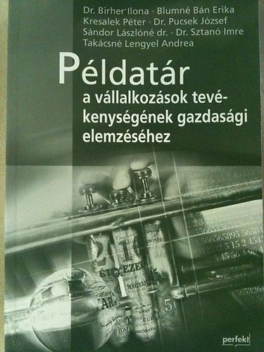 Blumn Bn Erika; Dr. Birher Ilona - Pldatr a vllalkozsok tevkenysgnek gazdasgi elemzshez