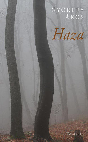 Haza