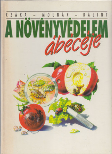A nvnyvdelem bcje
