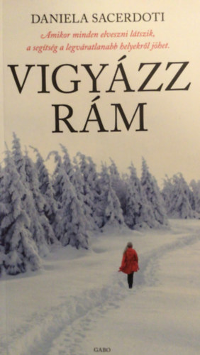 Vigyzz rm
