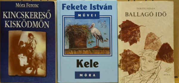 Ifjsgi knyvcsomag