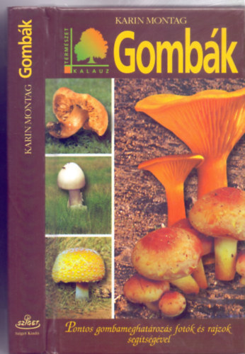Gombk - Pontos gombameghatrozs fotk s rajzok segtsgvel (Termszetkalauz)