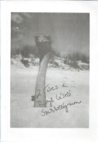 25 �ves a Rajk L�szl� Szakkoll�gium