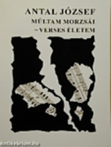Mltam morzsi-verses letem
