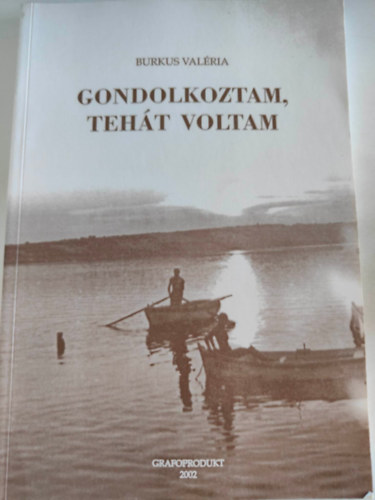 Gondolkoztam, teht voltam