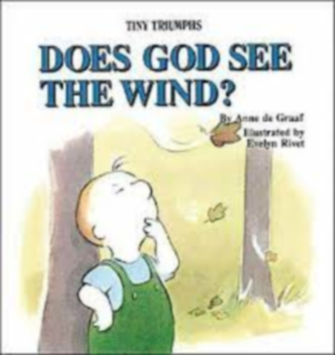 Anne de Graaf - Does God See the Wind? (Tiny Triumphs Series)