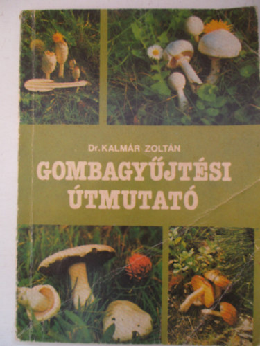 Gombagyjtsi tmutat