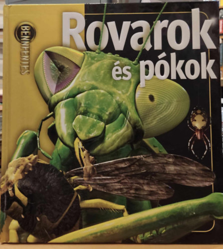 Rovarok s pkok (bennfentes)