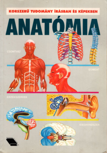 Anatmia (korszer tudomny rsban s kpekben)