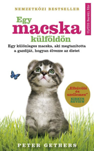 Egy macska klfldn