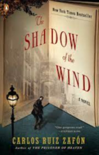 Carlos Ruiz Zafn - The shadow of the wind