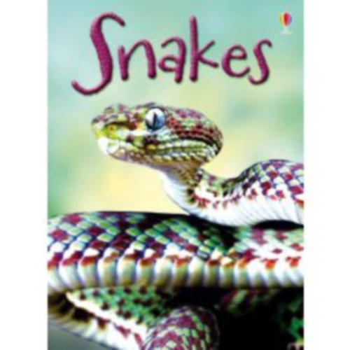 James Maclaine - Snakes (Usborne)