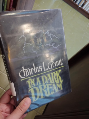 In a Dark Dream / Stt lomban/ - angol