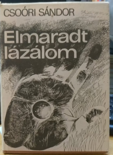 Elmaradt lzlom (Dediklt)