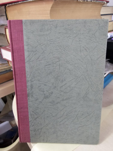 Jon Florea - A vil�gj�r� angol Bukarestben