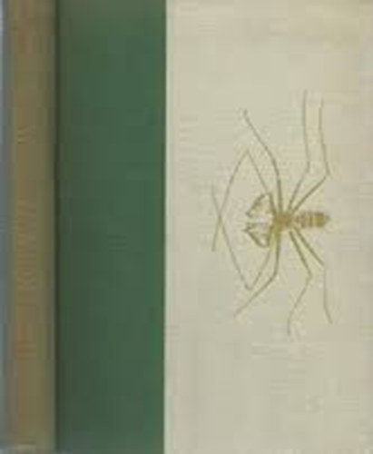 Kalandok a braz�liai �serd�ben