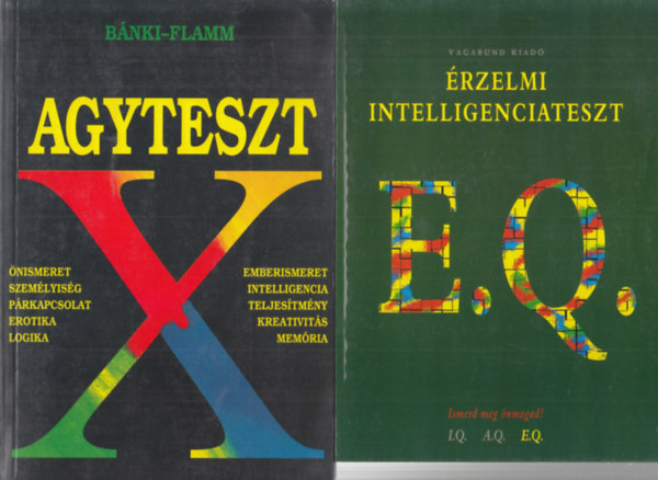Agyteszt + rzelmi intelligenciateszt (2 db)