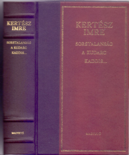 Sorstalansg - A kudarc - Kaddis a meg nem szletett gyermekrt (Dszkiads)