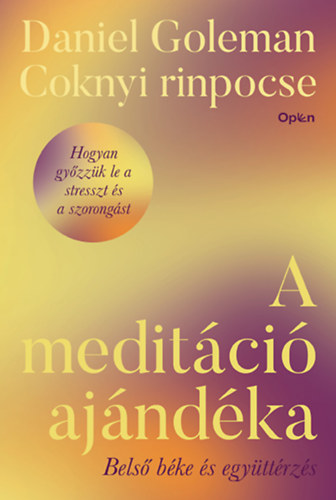 A meditci ajndka
