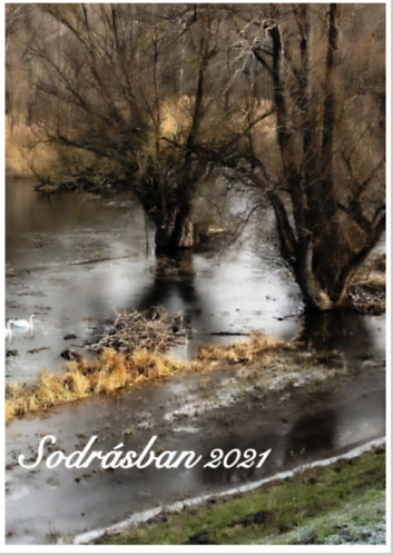 Sodrásban 2021 - Kortárs írók, költők antológiája