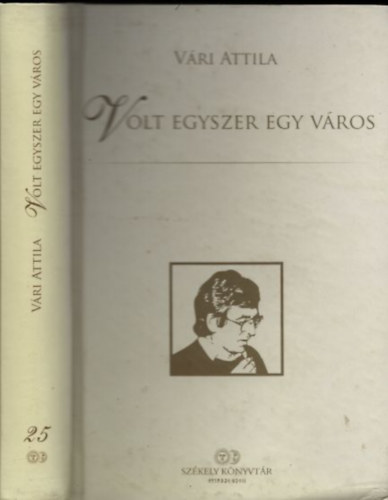 Volt egyszer egy vros
