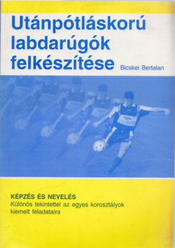 Utnptlskor labdargk felksztse (2., javtott kiads)