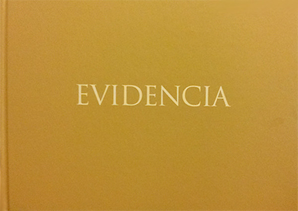 Evidencia - III. Szobrsz Biennle