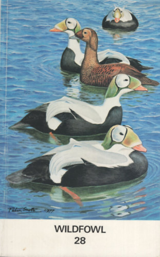 Wildfowl 28
