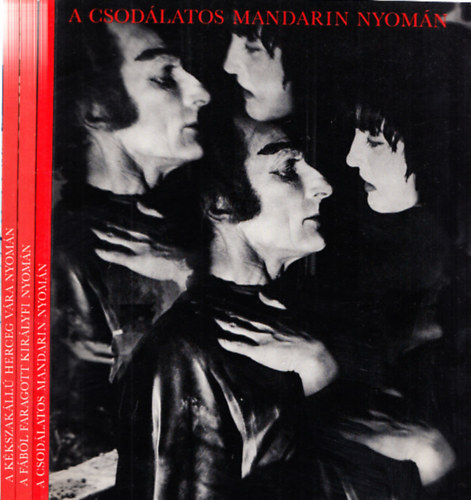 Vltozatok Bartk sznpadi mveire 1-3. (A csodlatos mandarin nyomn + A fbl faragott kirlyfi nyomn + A kkszakll herceg vra nyomn)