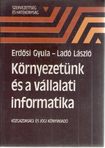 Krnyezetnk s a vllalati informatika