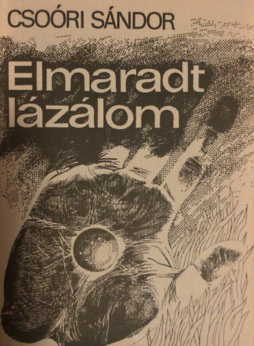 Elmaradt l�z�lom