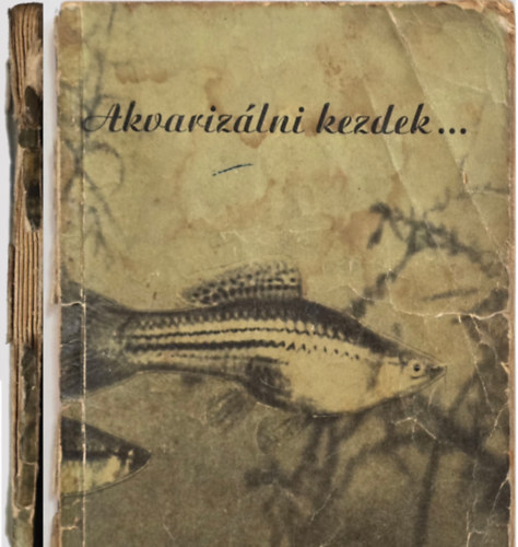 Katona, Rosconi, Szombath Hankovszky - Akvariz�lni kezdek...