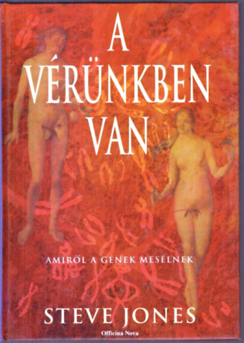 A v�r�nkben van -  Amir�l a g�nek mes�lnek