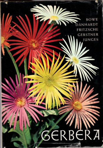 Gerbera
