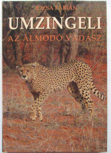 Umzingeli
