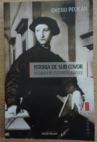 Istoria de sub covor - Dezbateri istoriografice