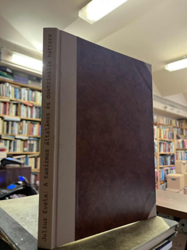 A Taoizmus �ltal�nos �s doktrin�lis h�ttere (K�zirat form�j�ban)