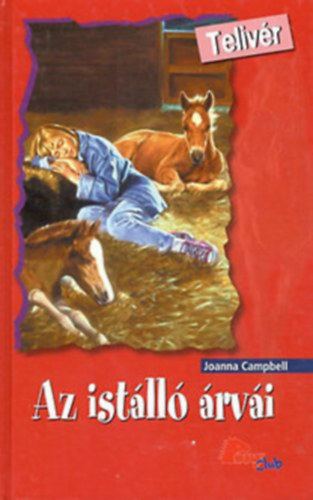 Az istll rvi (PonyClub-Telivr)