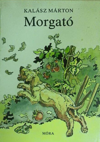 Morgat