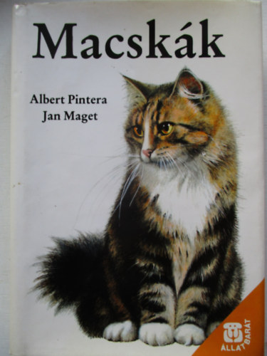 Macskk